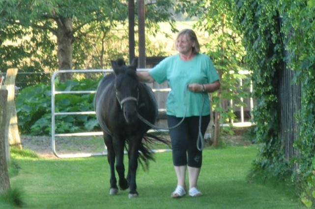 pony3
